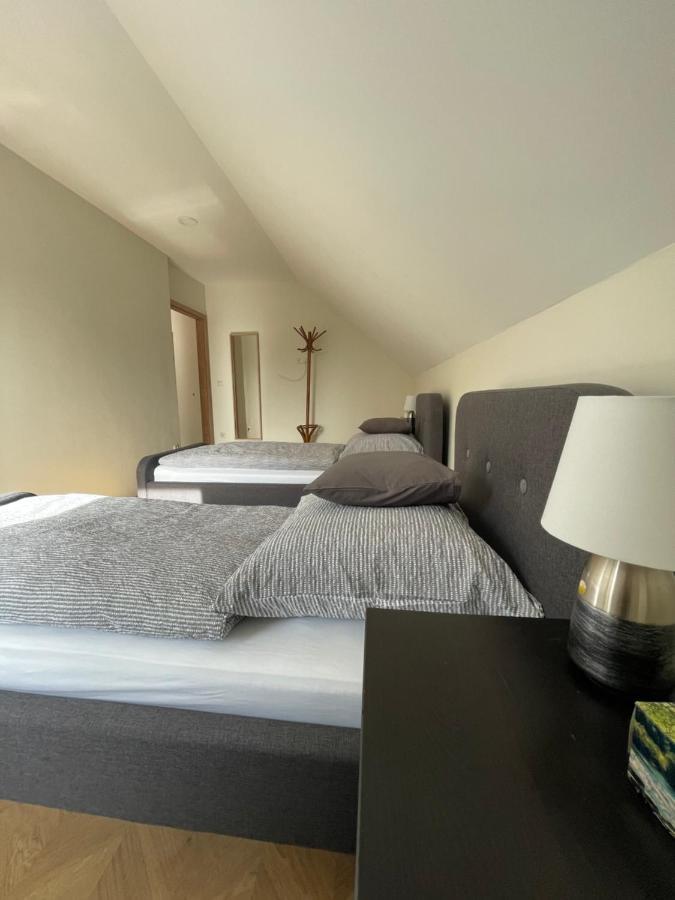 Koliko Apartman Mohács Buitenkant foto